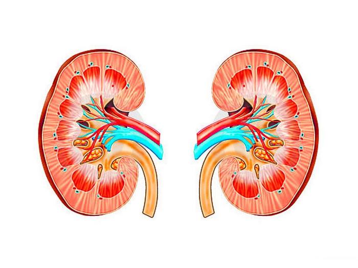 можно ли умереть от почечной недостаточности